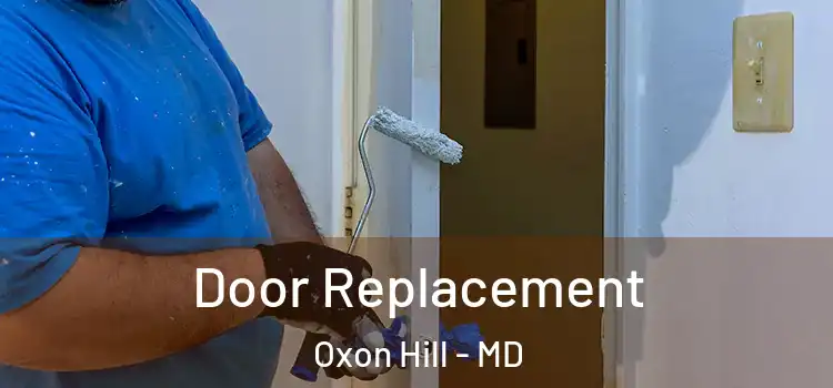 Door Replacement Oxon Hill - MD