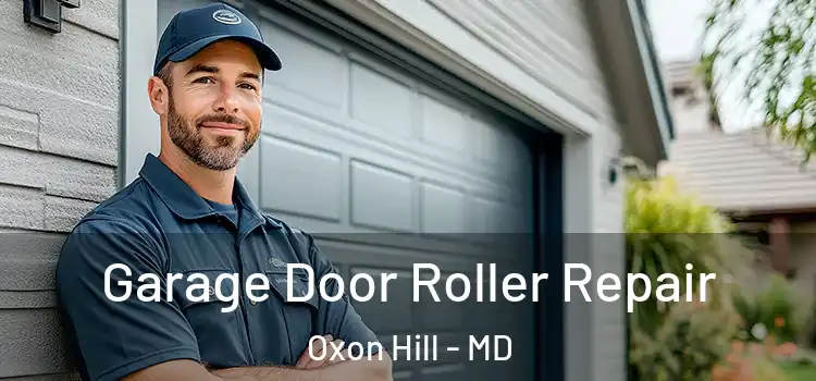  Garage Door Roller Repair Oxon Hill - MD