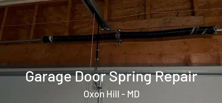  Garage Door Spring Repair Oxon Hill - MD