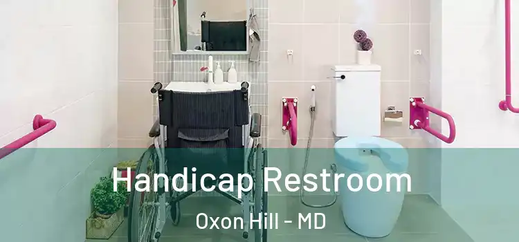 Handicap Restroom Oxon Hill - MD
