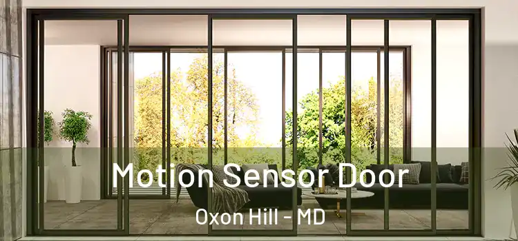 Motion Sensor Door Oxon Hill - MD