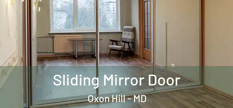  Sliding Mirror Door Oxon Hill - MD